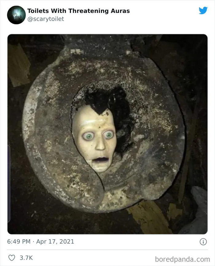 50 Of The Weirdest Lavatories From Around The World, As Shared By "Toilets With Threatening Auras"