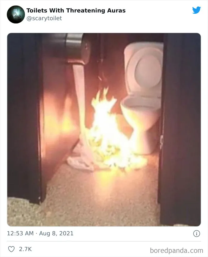 50 Of The Weirdest Lavatories From Around The World, As Shared By "Toilets With Threatening Auras"