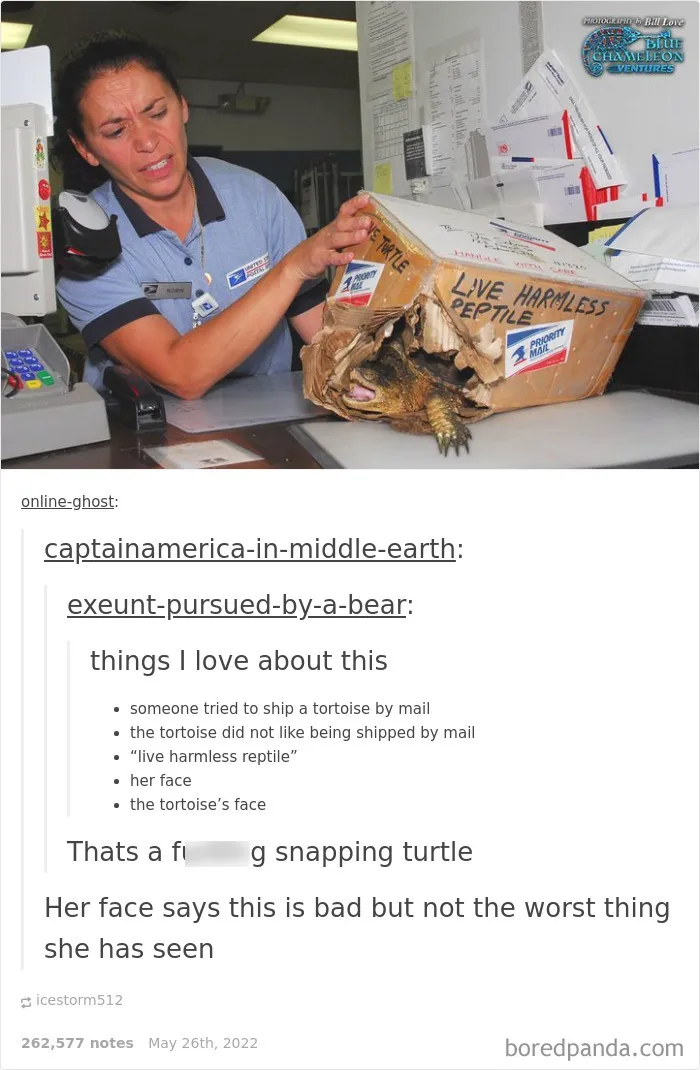50 Times "The Weird Side Of Tumblr" Didn't Disappoint