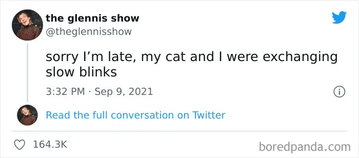 50 Hilariously Spot-On Tweets About Life With Cats And Dogs