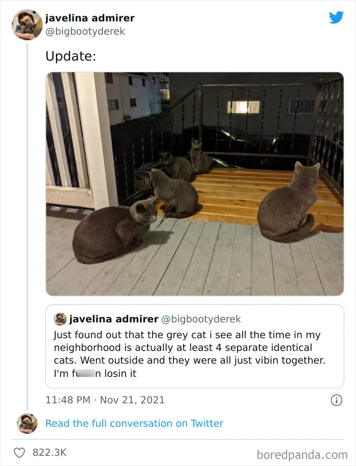 50 Hilariously Spot-On Tweets About Life With Cats And Dogs
