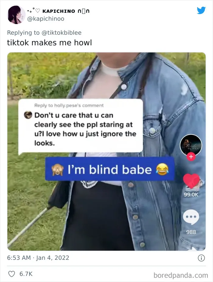 Twitter Account Shares 30 Screenshots That Prove Just How Weird TikTok Can Be