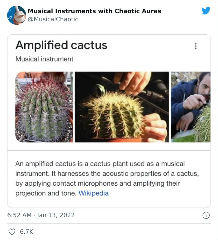 30 Funny And Bizarre Pics From The "Musical Instruments With Chaotic Auras" Twitter Page