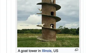 40 Times People Stumbled Upon Something Hilarious On Wikipedia And It Ended Up Being Shared In This Online Group