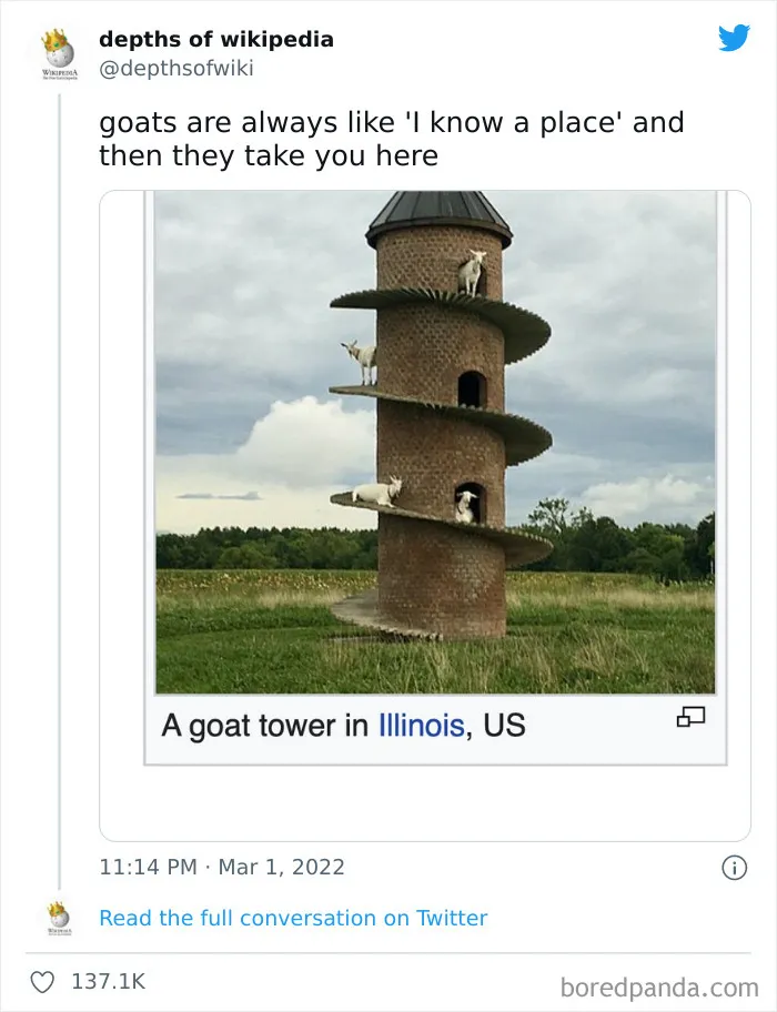 40 Times People Stumbled Upon Something Hilarious On Wikipedia And It Ended Up Being Shared In This Online Group