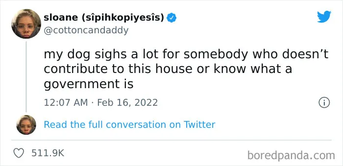 50 Hilariously Spot-On Tweets About Life With Cats And Dogs