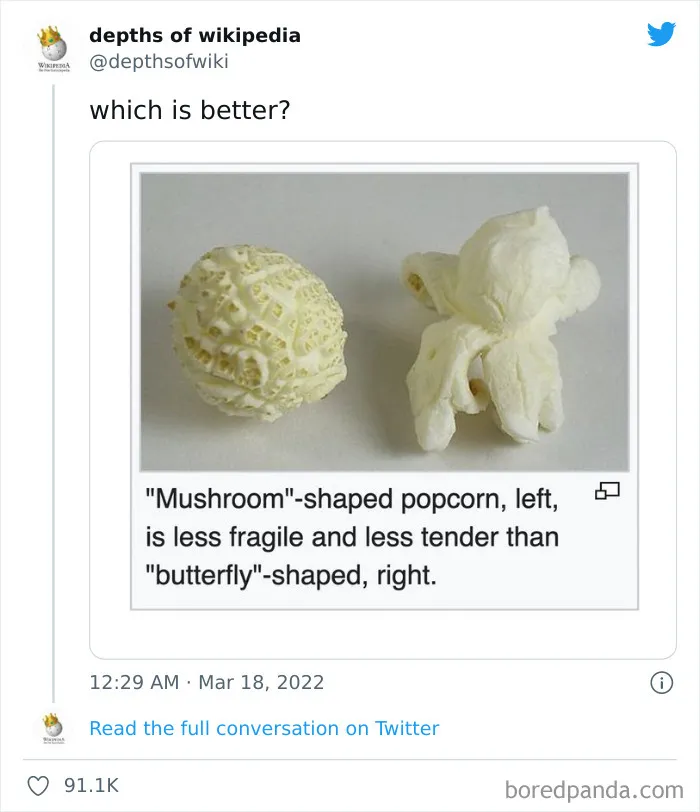 40 Times People Stumbled Upon Something Hilarious On Wikipedia And It Ended Up Being Shared In This Online Group