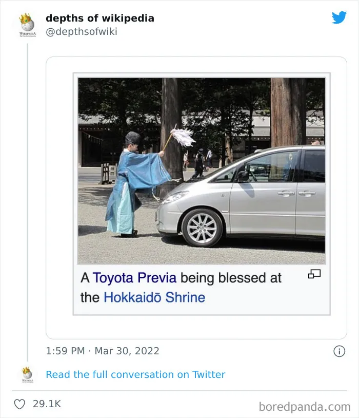 40 Times People Stumbled Upon Something Hilarious On Wikipedia And It Ended Up Being Shared In This Online Group
