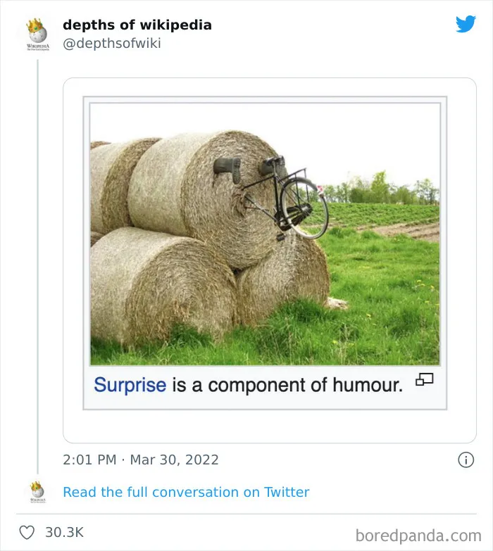 40 Times People Stumbled Upon Something Hilarious On Wikipedia And It Ended Up Being Shared In This Online Group