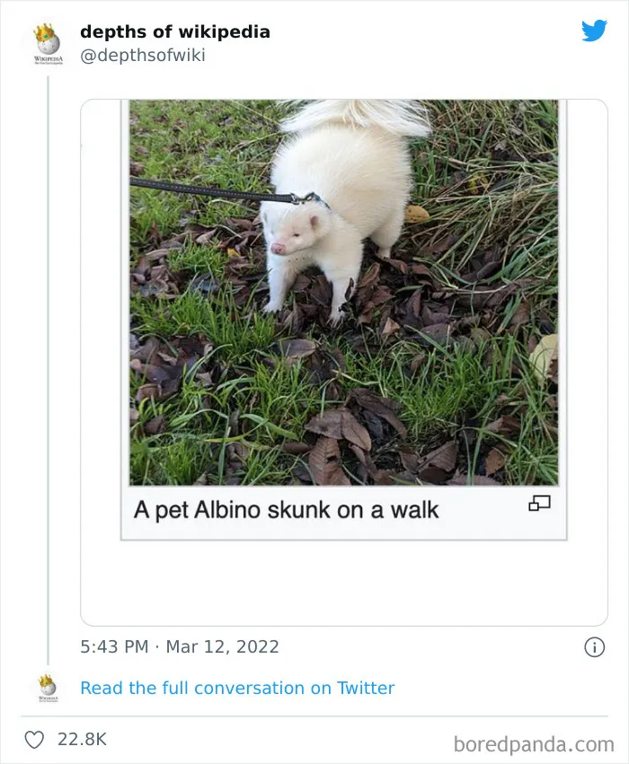 40 Times People Stumbled Upon Something Hilarious On Wikipedia And It Ended Up Being Shared In This Online Group