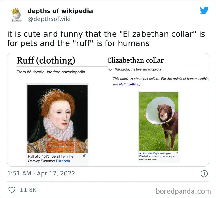 40 Times People Stumbled Upon Something Hilarious On Wikipedia And It Ended Up Being Shared In This Online Group