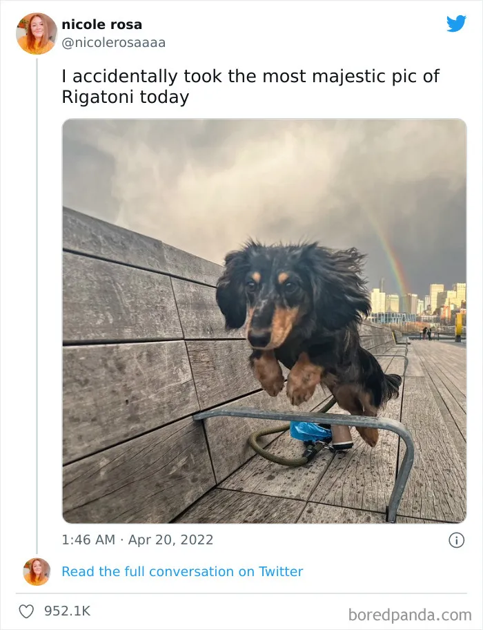 This Instagram Account Shares Uplifting News From Around The World So You Can See All The Good There Is (50 Posts)