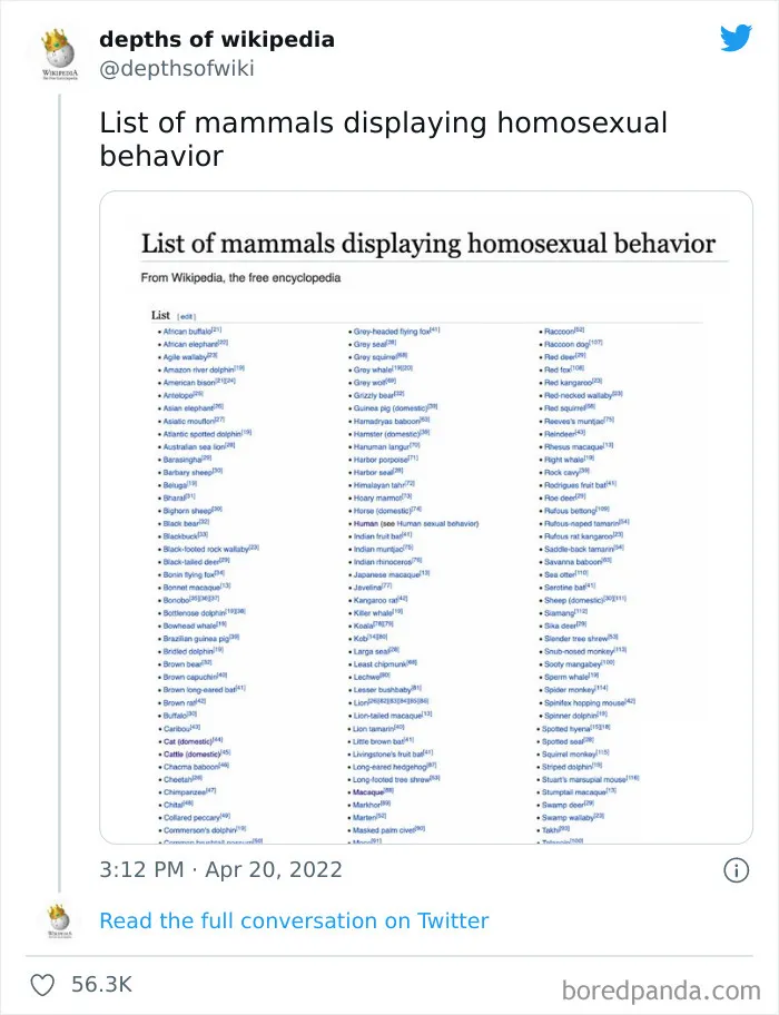 40 Times People Stumbled Upon Something Hilarious On Wikipedia And It Ended Up Being Shared In This Online Group