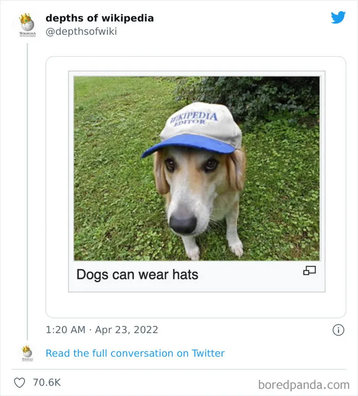 40 Times People Stumbled Upon Something Hilarious On Wikipedia And It Ended Up Being Shared In This Online Group