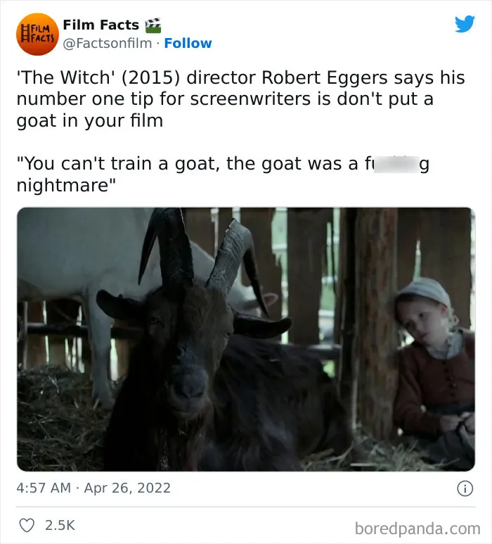 The Witch