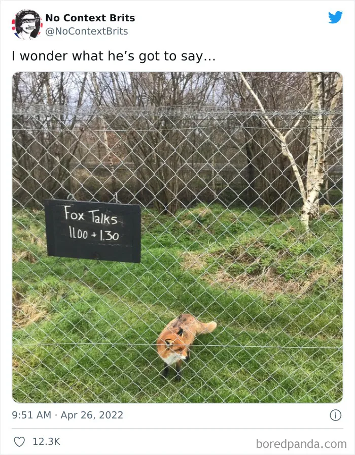 This Account Collects And Shares British Pictures Without Any Context (50 New Pics)