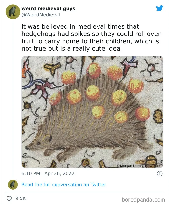 30 Times Medieval Painters Had No Idea How Something Looked And Created "Weird Medieval Guys", As Shared On This Twitter Page