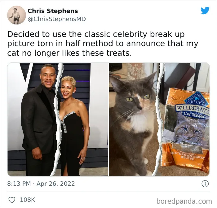 50 Hilariously Spot-On Tweets About Life With Cats And Dogs