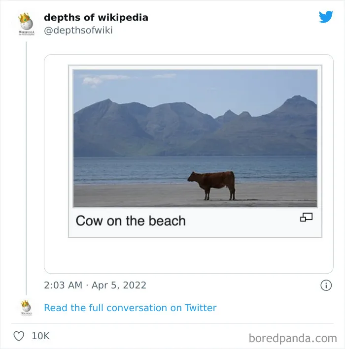 40 Times People Stumbled Upon Something Hilarious On Wikipedia And It Ended Up Being Shared In This Online Group