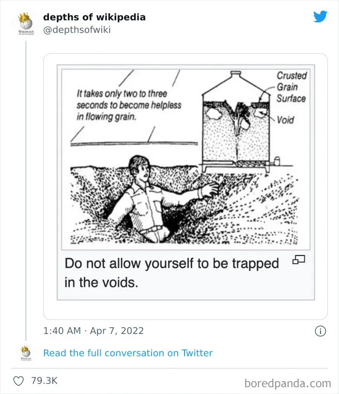 40 Times People Stumbled Upon Something Hilarious On Wikipedia And It Ended Up Being Shared In This Online Group