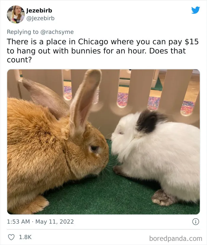 People Are Sharing Impulse Buys Under $30 That Were Worth Every Single Penny In This Viral Twitter Thread (40 Answers)