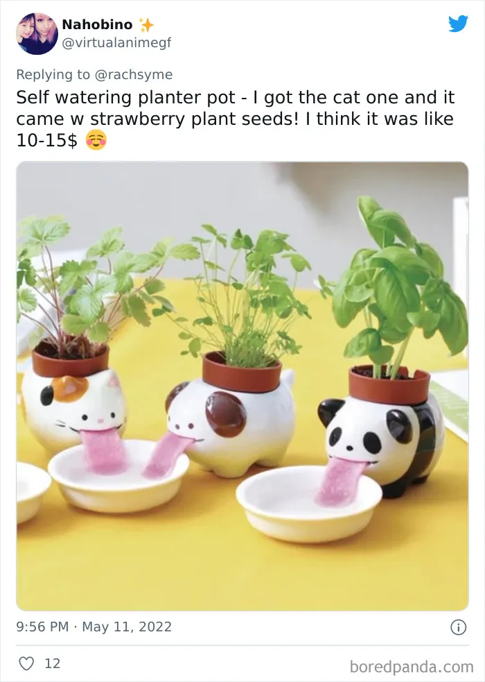 People Are Sharing Impulse Buys Under $30 That Were Worth Every Single Penny In This Viral Twitter Thread (40 Answers)