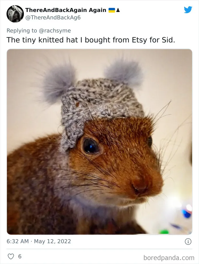 People Are Sharing Impulse Buys Under $30 That Were Worth Every Single Penny In This Viral Twitter Thread (40 Answers)