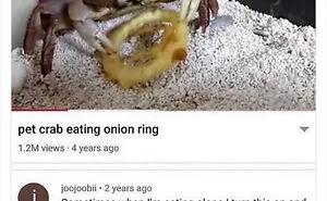35 Times YouTube Comments Were So Good, They Had To Be Shared Online