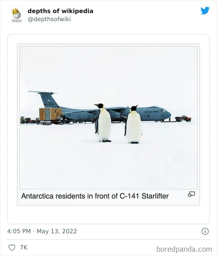 40 Times People Stumbled Upon Something Hilarious On Wikipedia And It Ended Up Being Shared In This Online Group