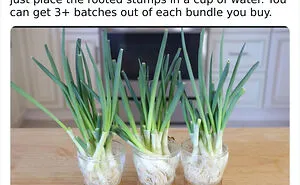 People On This Twitter Thread Share Surprisingly Genius Life Hacks That Actually Work, And Here're 30 Of The Best