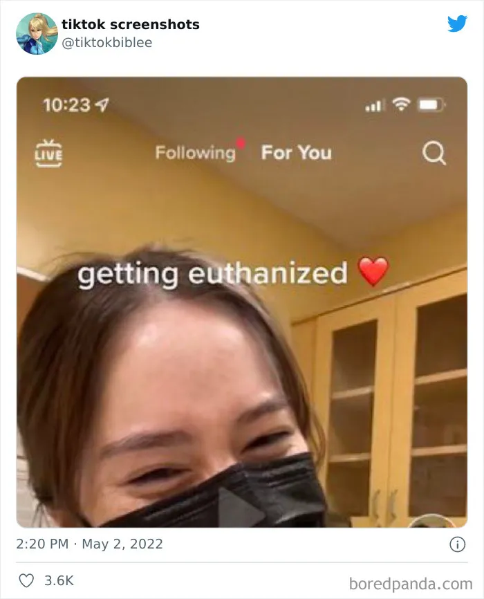 Twitter Account Shares 30 Screenshots That Prove Just How Weird TikTok Can Be