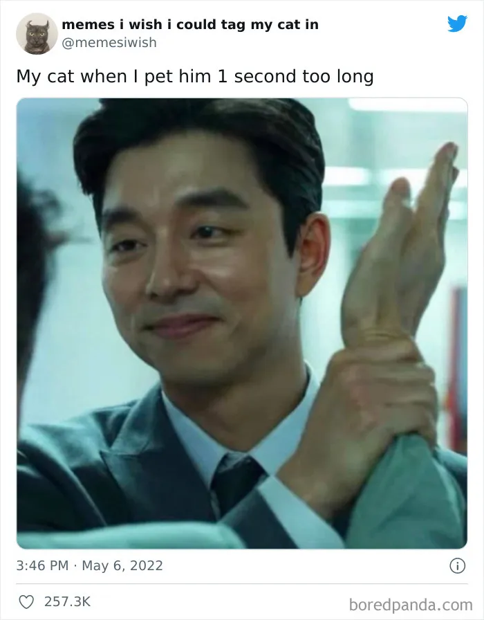 50 Hilariously Spot-On Tweets About Life With Cats And Dogs