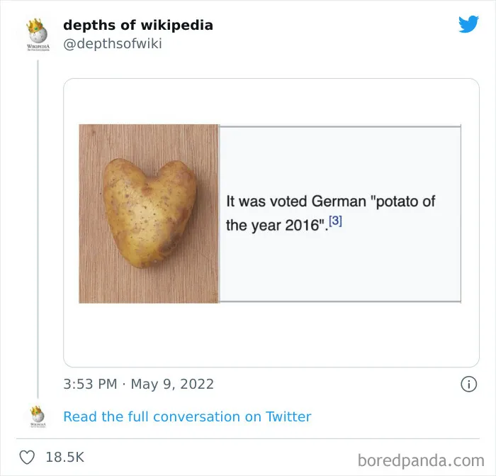 40 Times People Stumbled Upon Something Hilarious On Wikipedia And It Ended Up Being Shared In This Online Group