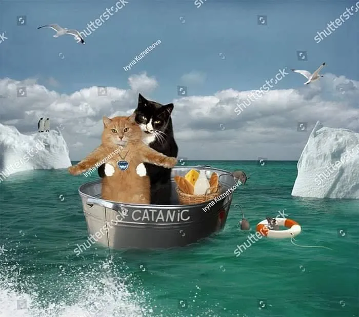35 De las imágenes de catálogo más extrañas jamás publicadas
