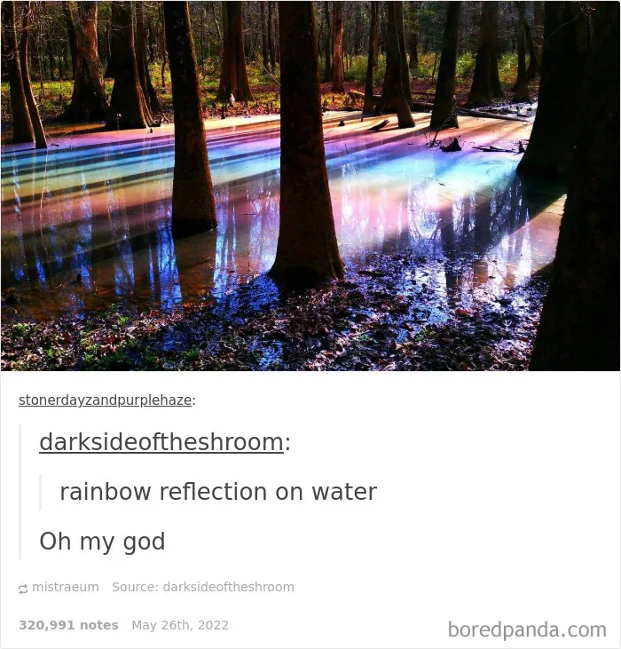 50 Times "The Weird Side Of Tumblr" Didn't Disappoint