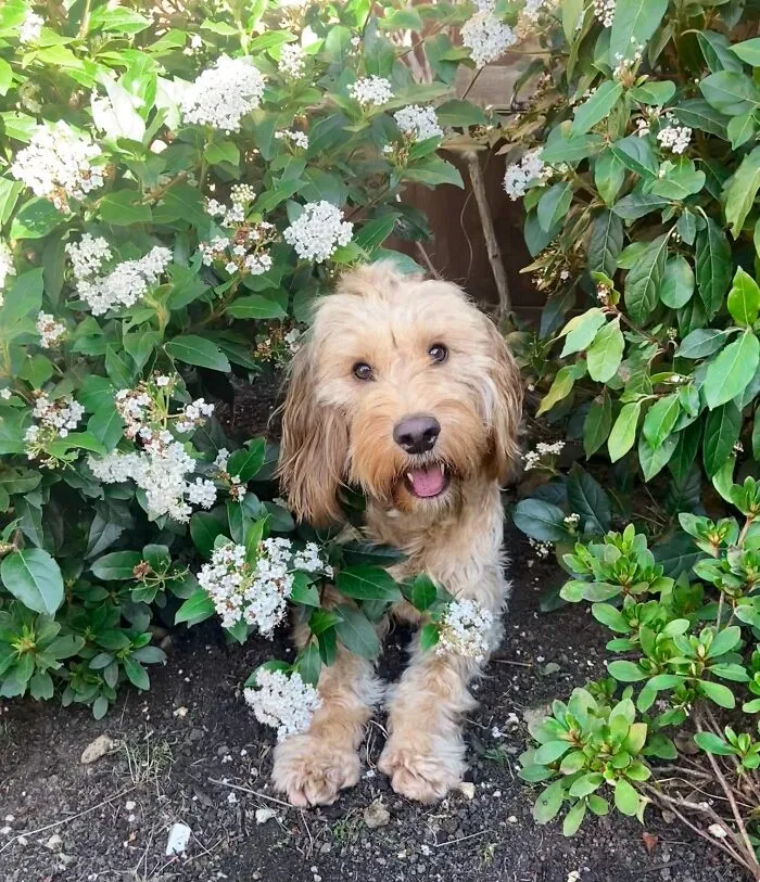 Millie!
