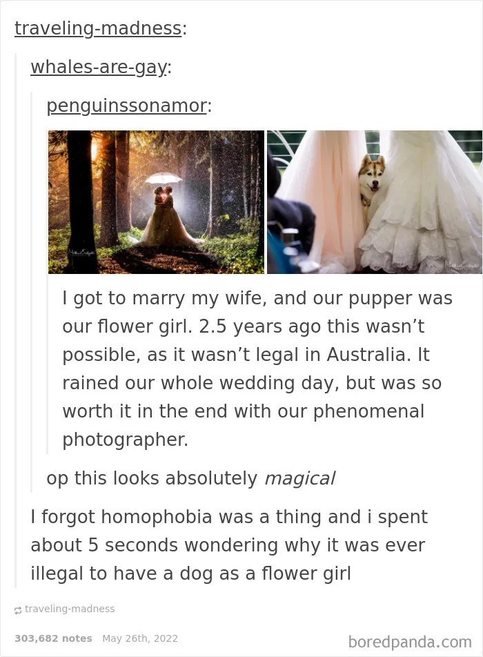 50 Times "The Weird Side Of Tumblr" Didn't Disappoint
