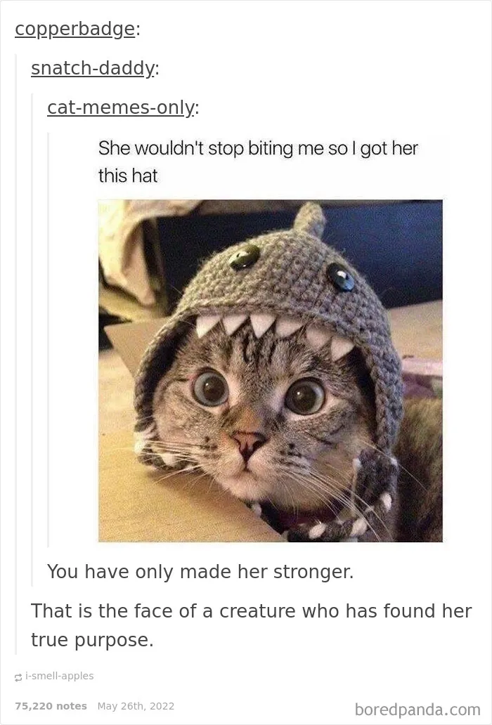 50 Times "The Weird Side Of Tumblr" Didn't Disappoint