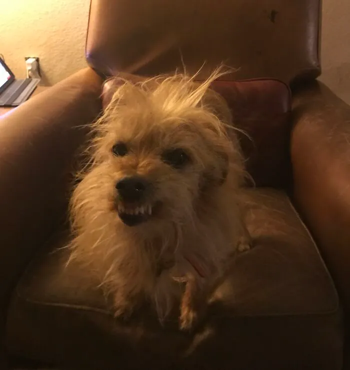 This Is Andy