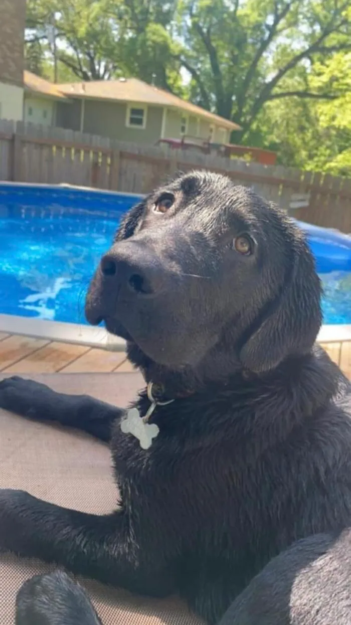 Finnigan By The Pool
