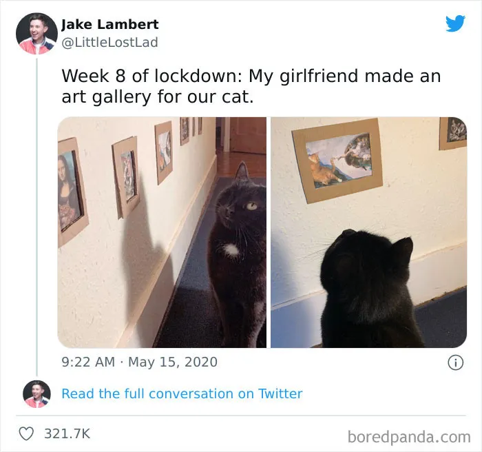 50 Hilariously Spot-On Tweets About Life With Cats And Dogs