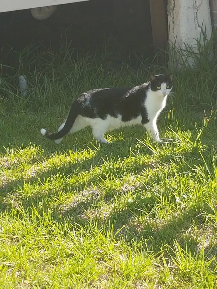 Curious Little Man Enjoying The Sun