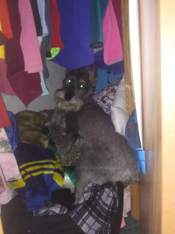 When You Forget To Close The Closet