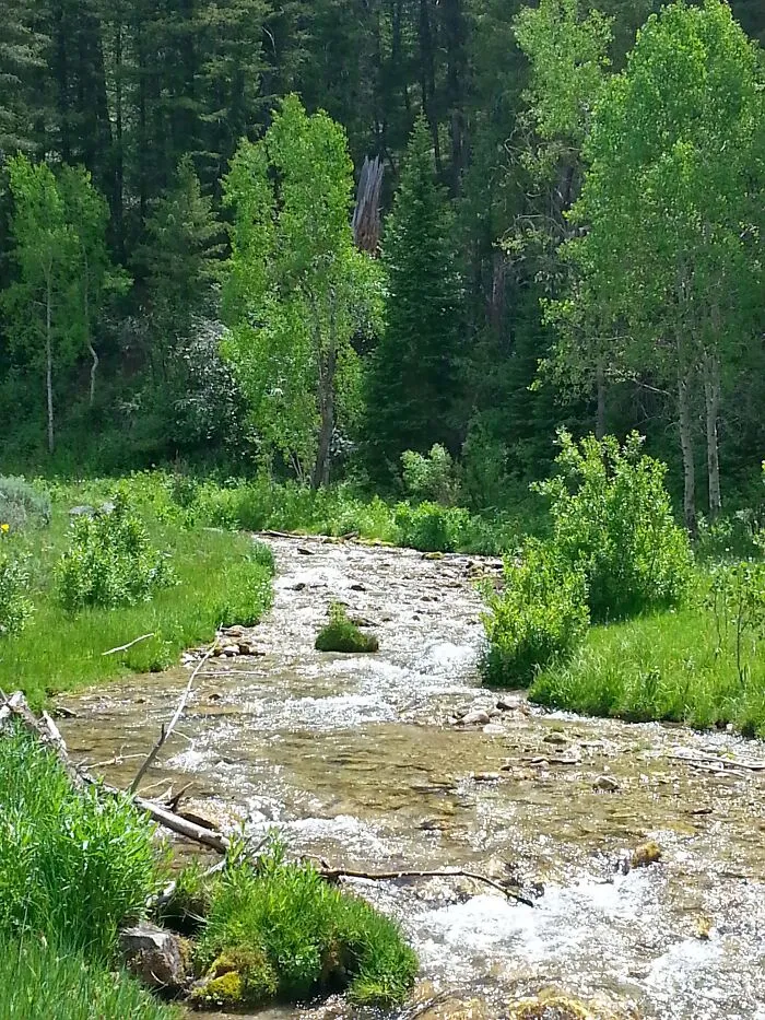 My Backyard Logan Canyon, Utah.