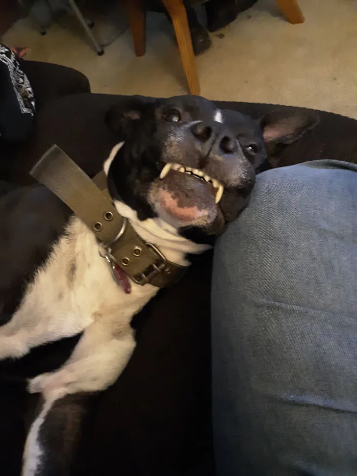 Ok Fine I Will Look At The Camera This One Time!