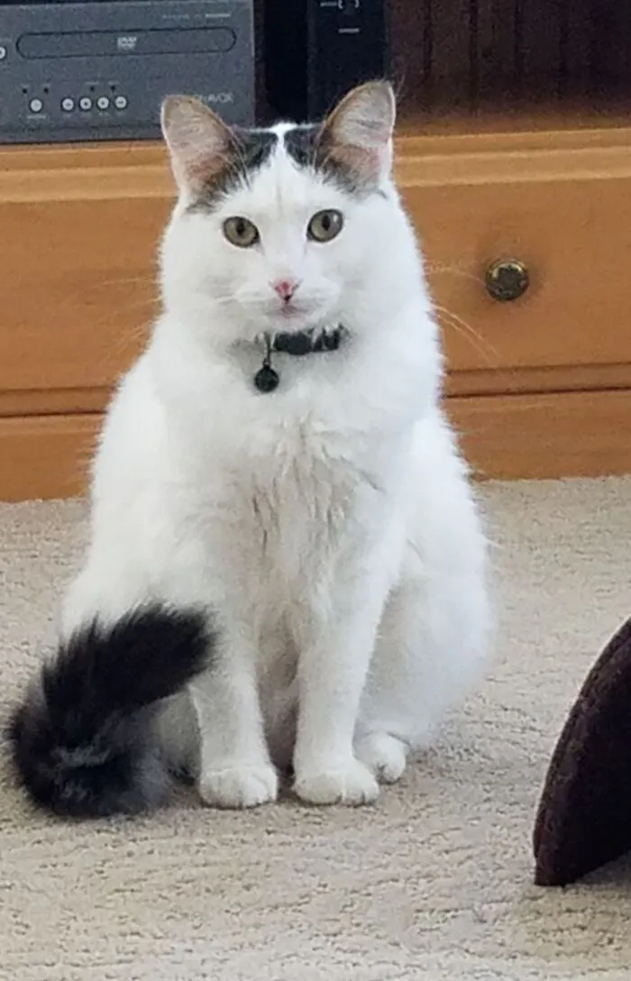 Princess Pippa