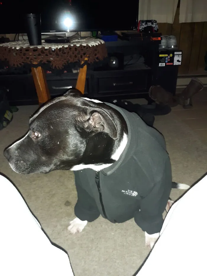Got My Legs In The Shot And He Wouldn't Look At Me Because He Is Camera Shy.