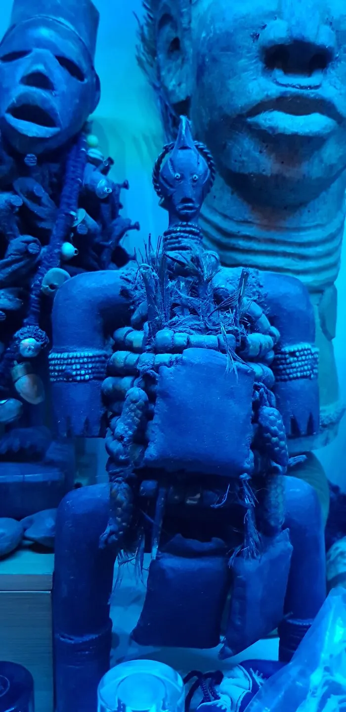 My Voodoo Collection. This Is Just A Small Part. The One In The Front Is Alive.