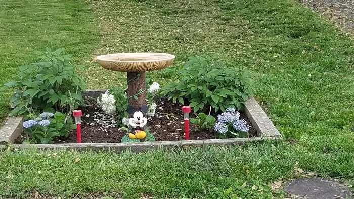 The Start Of A Flowerbed