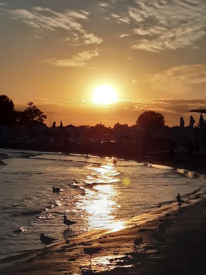 Some Random Beach In Romania